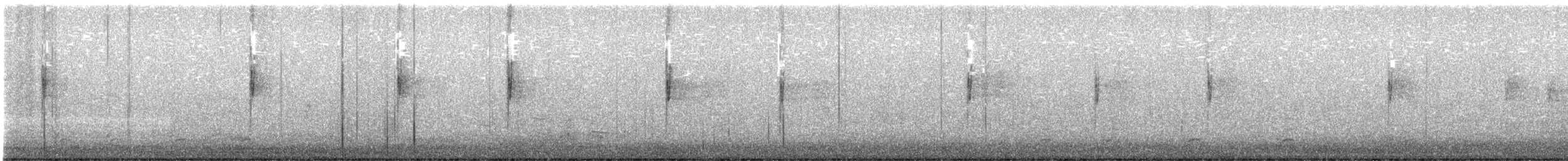 Northern Waterthrush - ML641141372