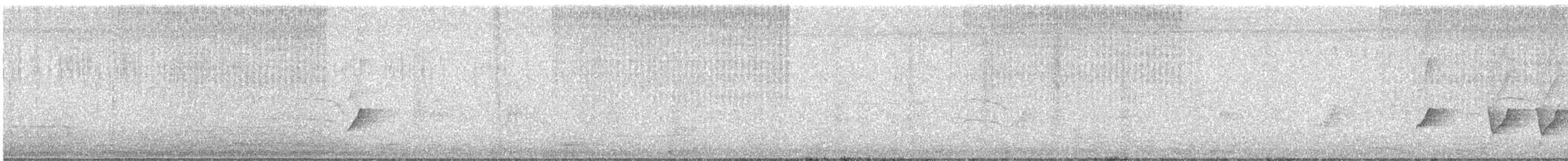 Streak-backed Oriole - ML641141445