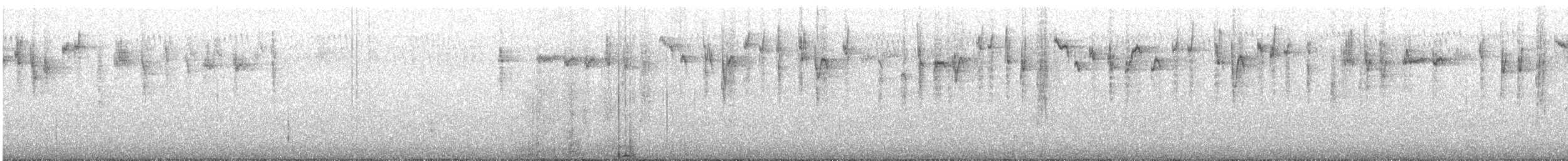 Striated Thornbill - ML641141679