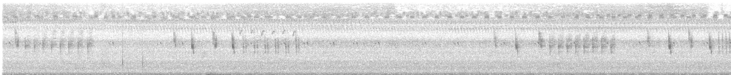 Sedge Wren - ML641142187