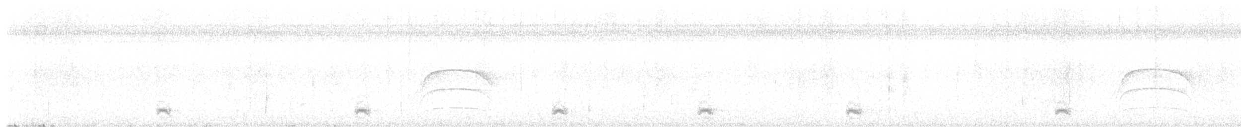 Mato Grosso Antbird - ML641142215