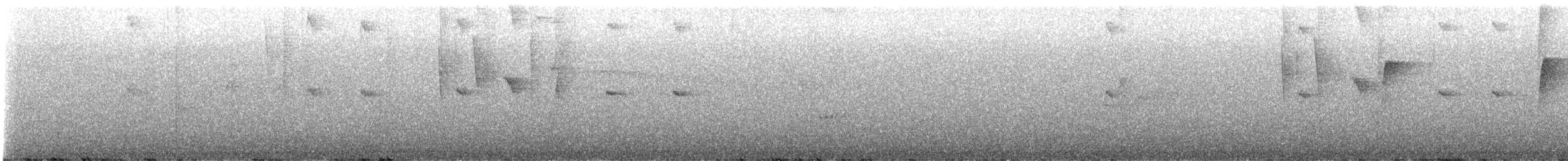 Golden-tailed Sapphire - ML641142970