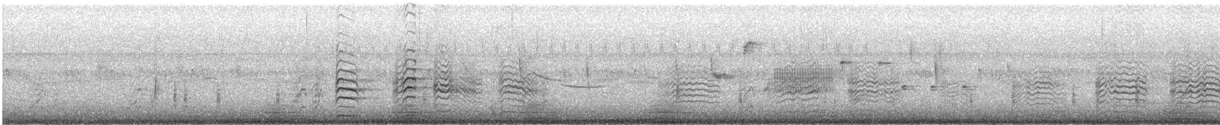 Least Grebe - ML641145250