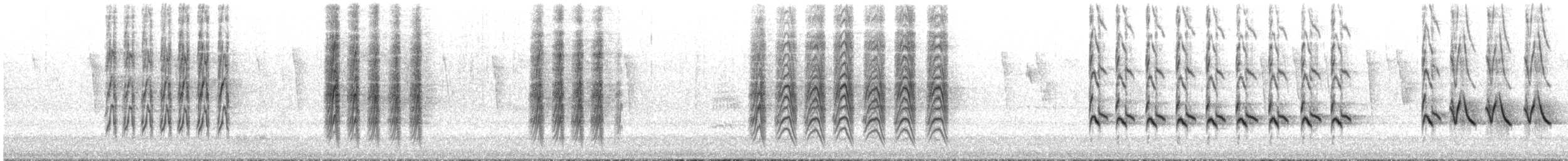 Northern Mockingbird - ML641146315