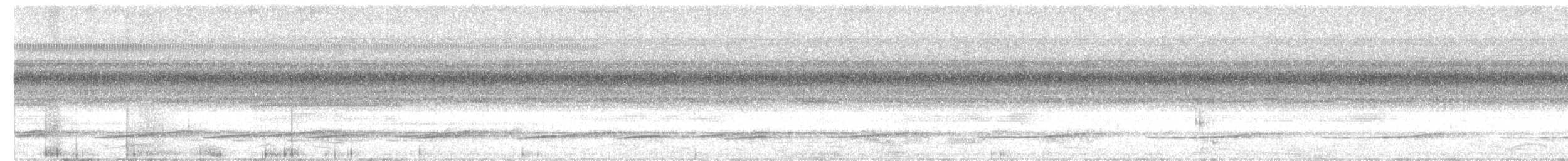 チャバラクイナ - ML641147543