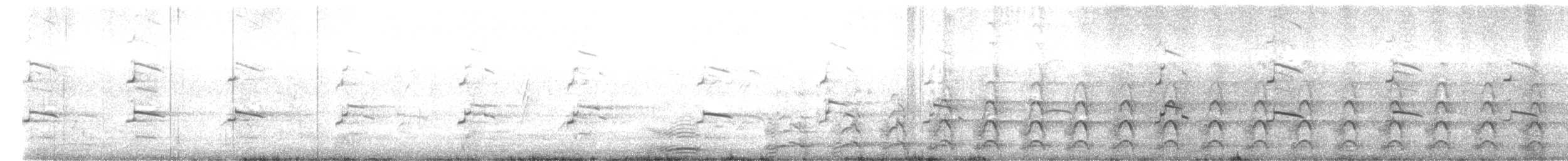 Goéland d'Audubon - ML641149776
