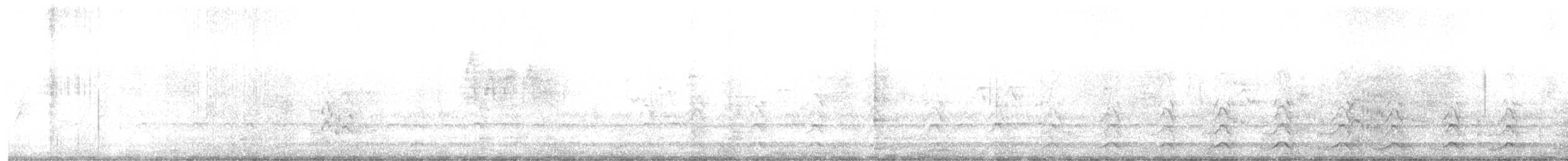 Goéland d'Audubon - ML641149806