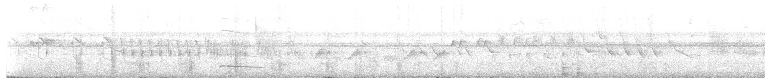Tamatia à front blanc - ML641153778