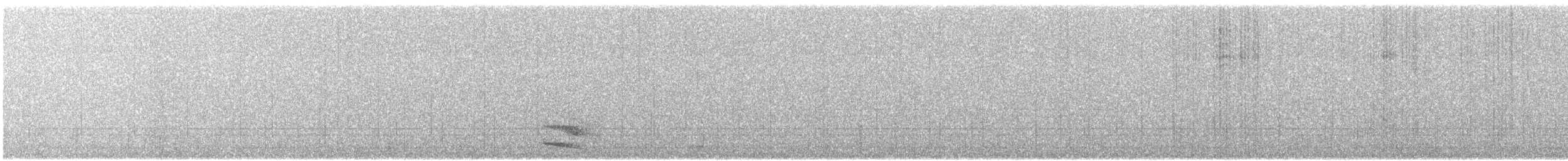 Australian Owlet-nightjar - ML641155582