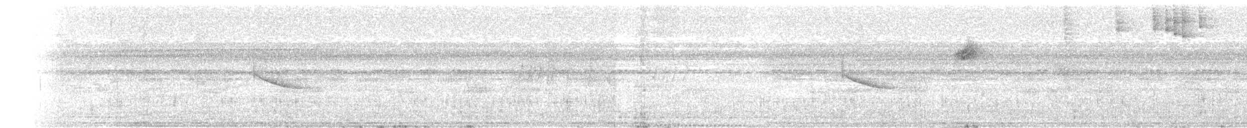 Barred Antshrike - ML641157409