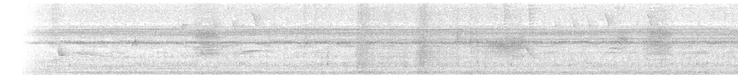 Barred Antshrike - ML641157435