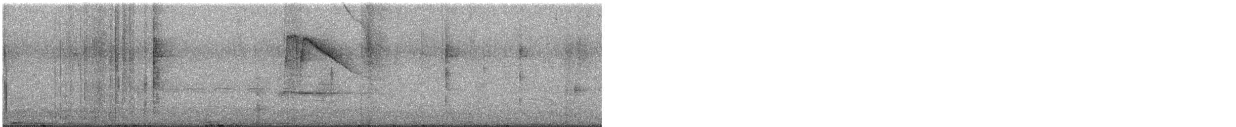 Calliope Hummingbird - ML641158183
