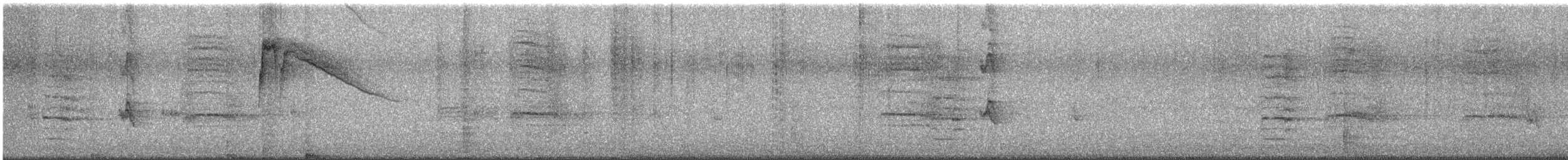 Calliope Hummingbird - ML641158186