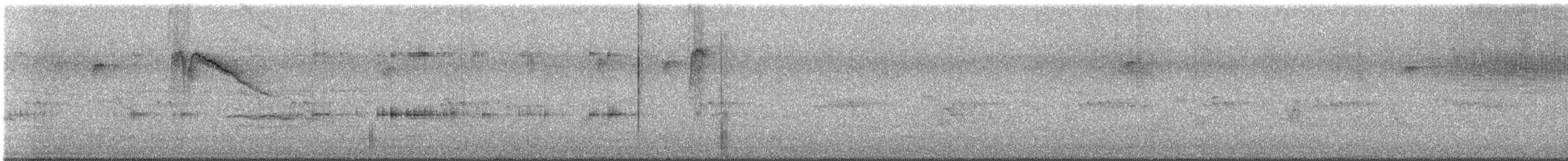 Calliope Hummingbird - ML641158398