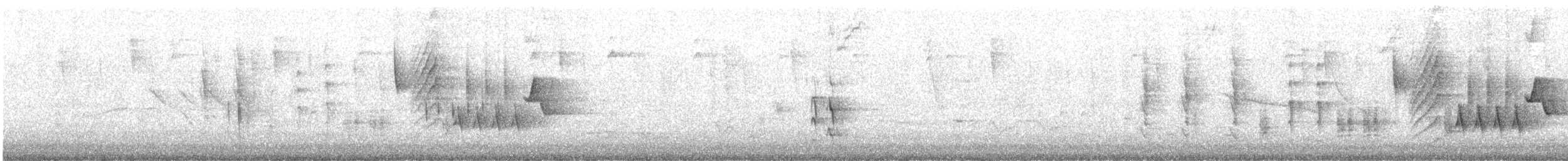 Southern House Wren - ML641158532