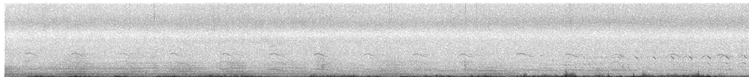 American Herring Gull - ML641158752