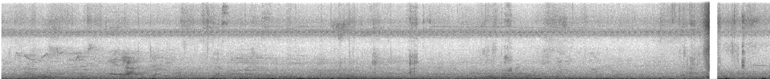 Warbling Vireo - ML641160649