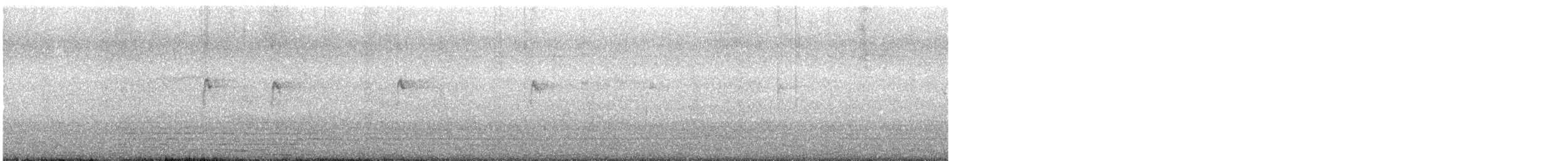new world sparrow sp. - ML641161034