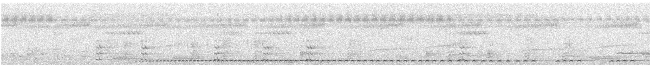 Lineated Barbet - ML641162719