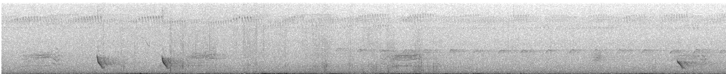 Schwarzkehl-Honigfresser - ML641164686