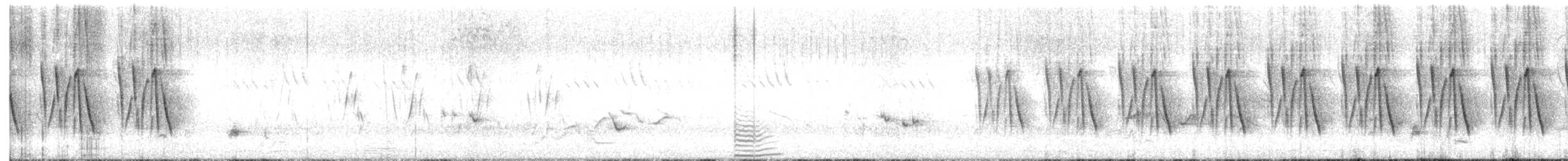Jungle Prinia - ML641164766