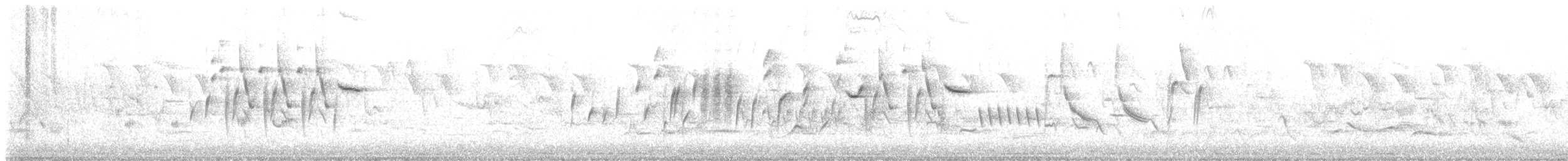 stehlík obecný - ML641166523