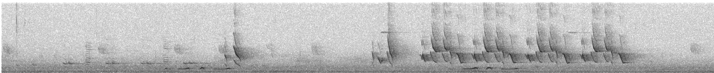 Bar-shouldered Dove - ML641166842