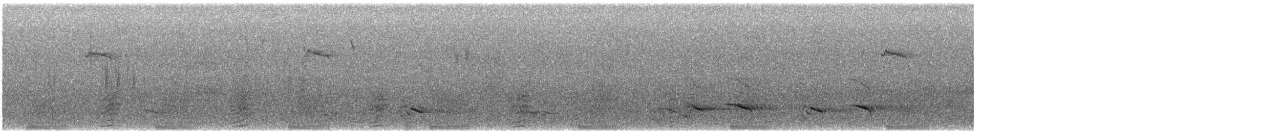 Lewin's Rail - ML641167226