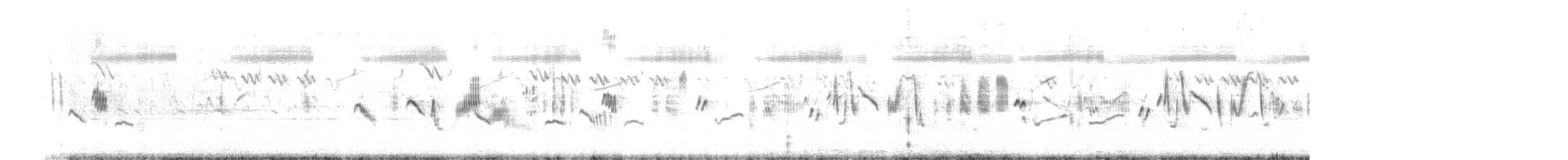 Pied Bushchat - ML641167287