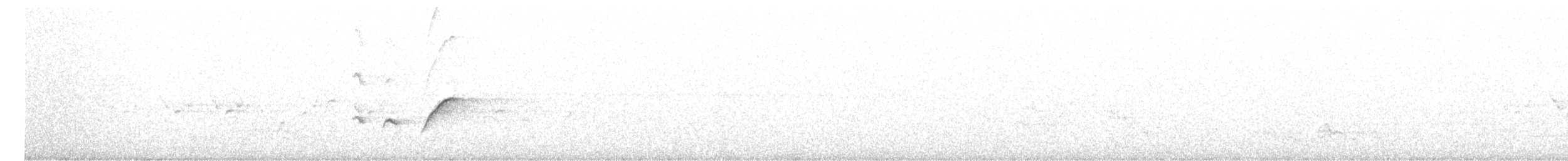 sørkrattskvett - ML641169090