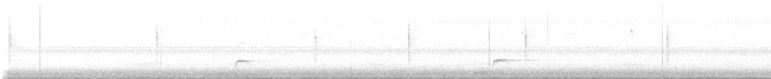 Swainson's Thrush - ML641171299