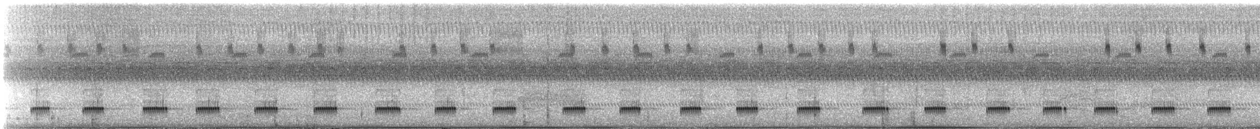 Animals - ML641172736