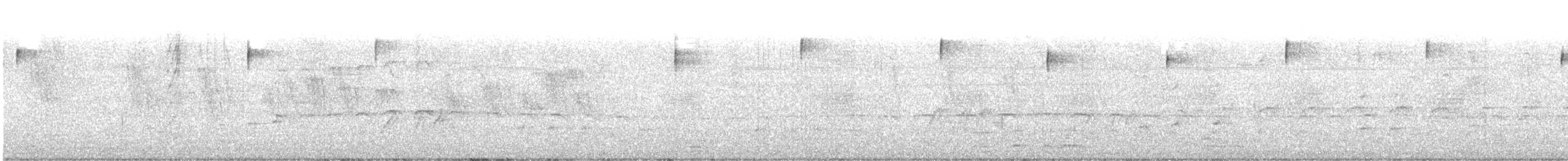 Common Black Hawk - ML641173154