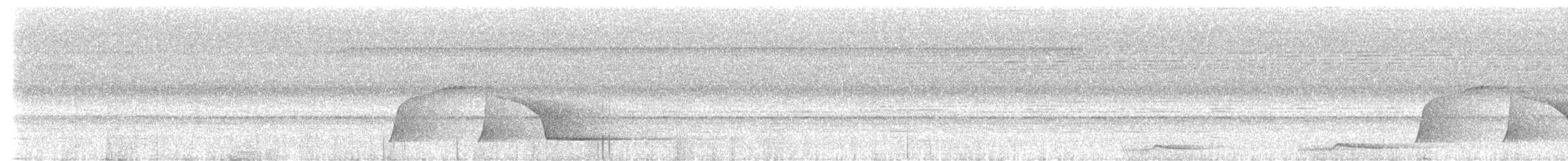 Piauhau hurleur - ML641175602