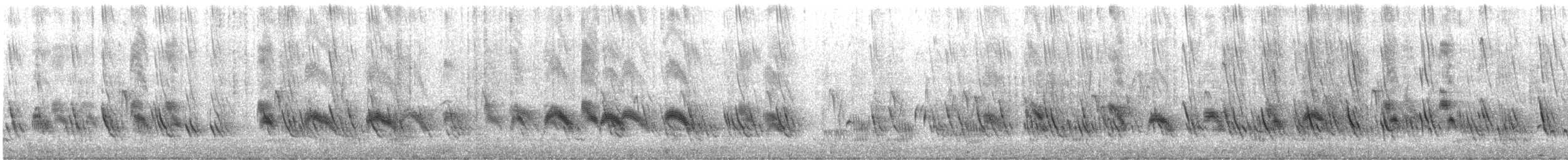 ムラサキツバメ - ML641177667