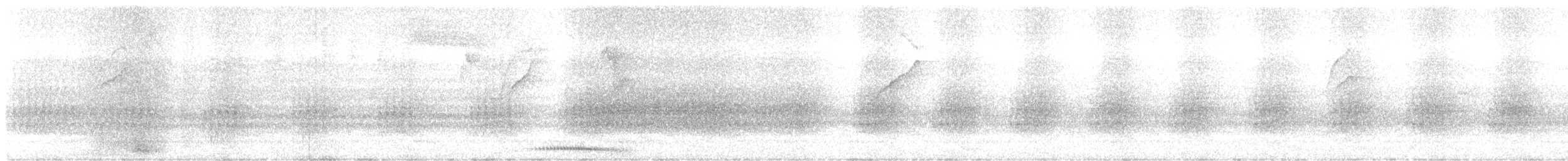 Ruddy Pigeon - ML641177940