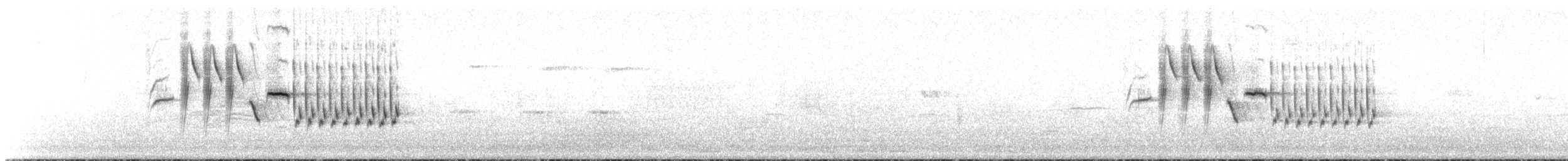 シロハラミソサザイ - ML641178698