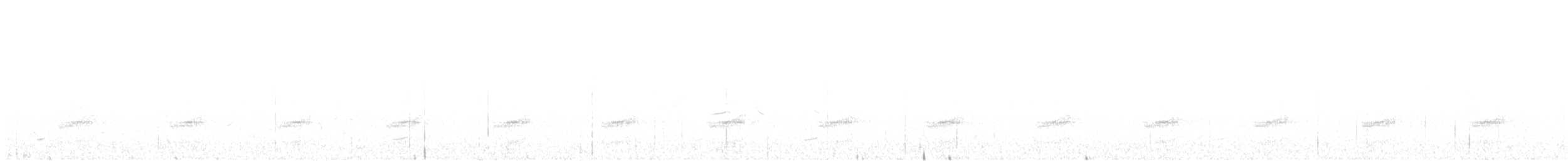 Dusky Tapaculo - ML641179404