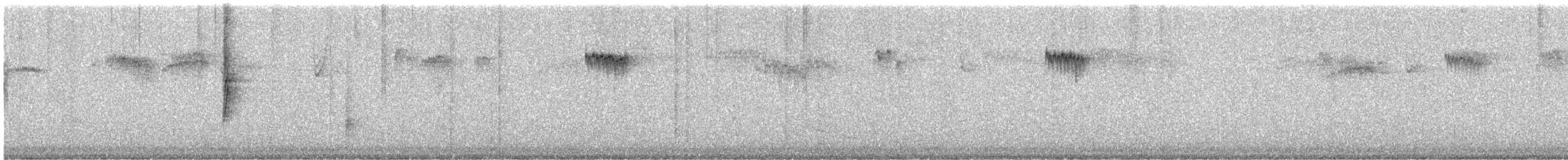 Yellow-rumped Warbler - ML641180217