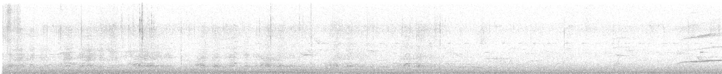 Plain Chachalaca - ML641181073