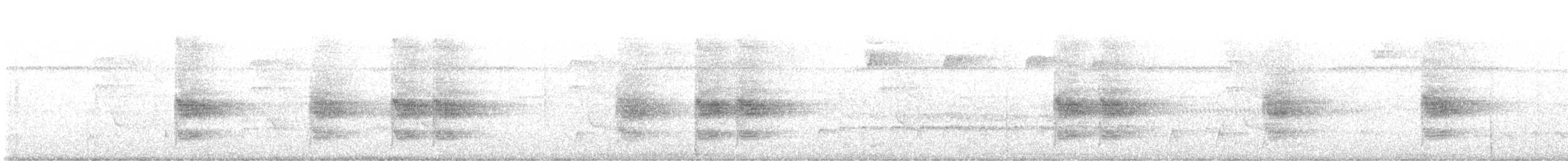 Western Woodhaunter - ML641181704