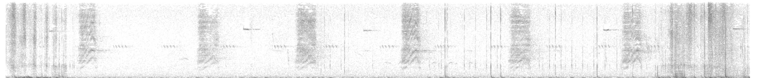 Сойка сонорська - ML641182598