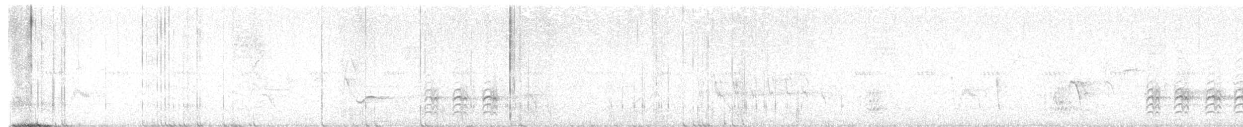 Повзик каролінський - ML641182643