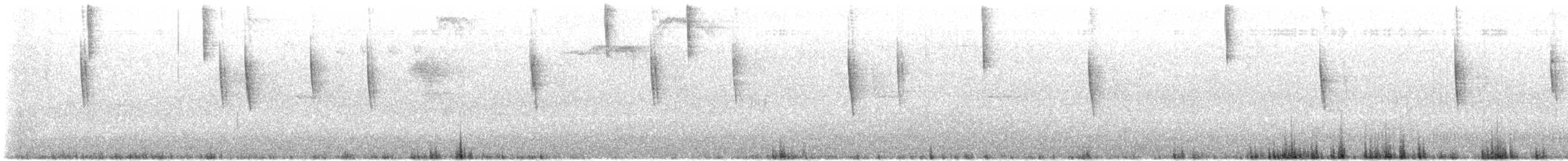Blackpoll Warbler - ML641184053