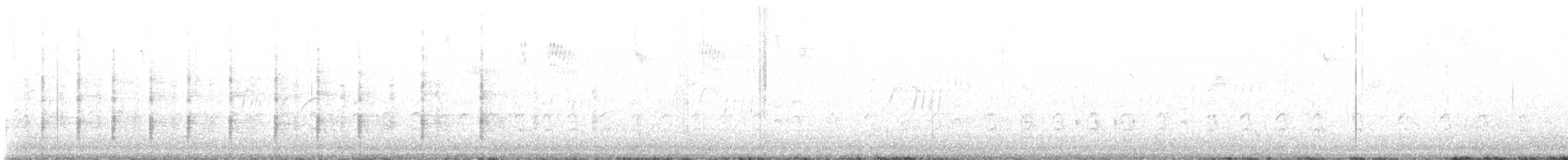 chřástal atlantický - ML641186576