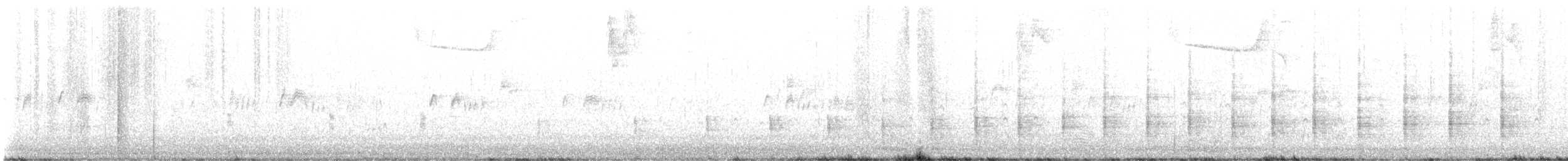 chřástal atlantický - ML641186580