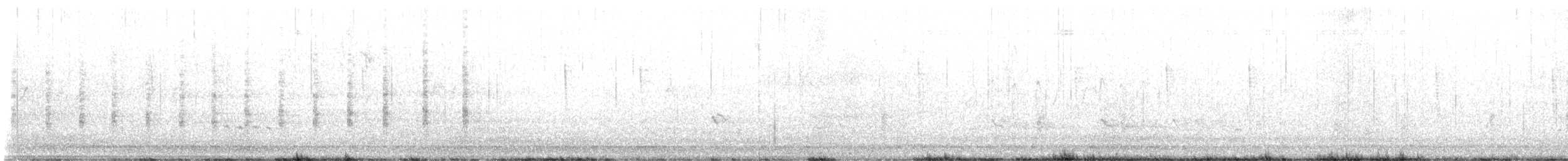 chřástal atlantický - ML641186582