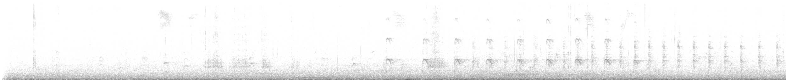chřástal atlantický - ML641186583