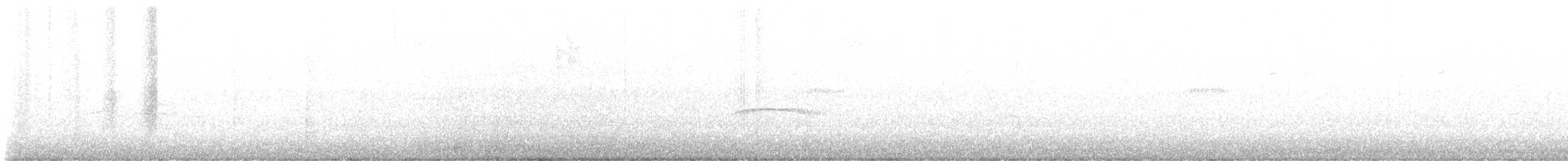プエルトリコヒタキモドキ - ML641186663