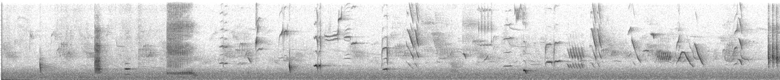 Tui - ML641188231